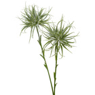 Planta Artificial Allium Verde 50cm Daeve