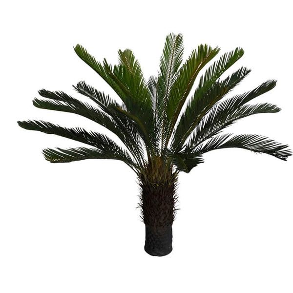 Wallpaper Planta Artificial Arvore Palmeira Cycas Verde 1 2m Leroy Merlin For iPhone Free