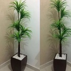 Planta Artificial Árvore Yucca Várias Folhagens 1,10m