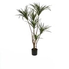 Planta Artificial Árvores Dracena 1,25cm Verde Florarte