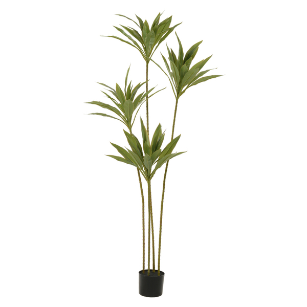 Planta Artificial Árvores Dracena 1,6cm Verde Florarte
