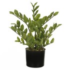 Planta Artificial Árvores Zamioculcas 50cm Verde Florarte
