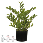 Planta Artificial Árvores Zamioculcas 50cm Verde Florarte