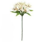 Planta Artificial Astromelia 37cm Bege Florarte