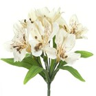 Planta Artificial Astromelia 37cm Bege Florarte