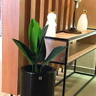 Planta Artificial Bananeira De Jardim Com Pote X6 Verde 66 Cm