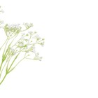 Planta Artificial Buquê Carinho De Mãe 35cm Branco Florarte