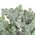 Planta Artificial Buquê Folhas 34X14cm Grillo