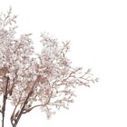 Planta Artificial Buquê Gypso 33cm Branco Florarte