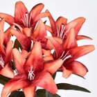 Planta Artificial Buquê Lirio 45X23cm Grillo