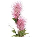 Planta Artificial Cirsium 20cm Lilás