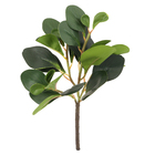 Planta Artificial Clusia Coat Real 33cm