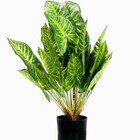 Planta Artificial Costela De Adão Pvc Com Vaso Preto 40cm