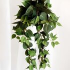 Planta Artificial Cultivo Jiboia Ornamental Exótica 9 Galhos