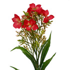 Planta Artificial Dianthus Vermelha 63cm Daeve