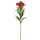 Planta Artificial Dianthus Vermelha 63cm Daeve