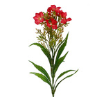 Planta Artificial Dianthus Vermelha 63cm Daeve