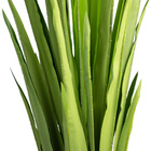 Planta Artificial Dracena Garrafa Real Toque X37 Verde 120 Cm