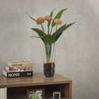 Planta Artificial Estrelícia 66x61cm Verde Grillo