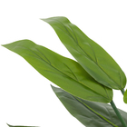 Planta Artificial Estrelícia 66x61cm Verde Grillo