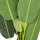 Planta Artificial Estrelícia Folhas Com Pote X12 Verde 130 Cm