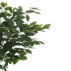 Planta Artificial Ficus 120cm Verde Florarte