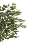 Planta Artificial Ficus 120cm Verde Florarte
