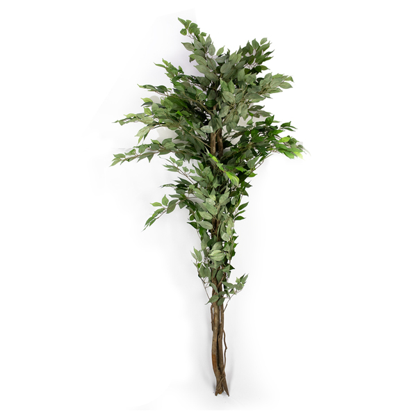 Planta Artificial Ficus Tronco Real Toque X1008 Verde 210 Cm