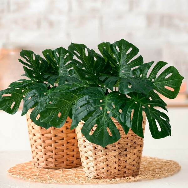 Planta Artificial Folha Flexível Costela De Adão 20 Unidades