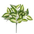 Planta Artificial Folhagem  C.N.P Verde Creme 35cm Florarte