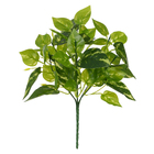 Planta Artificial Folhagem  Jiboia Verde Creme 35cm Florarte