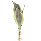 Planta Artificial Folhagem Espada de São Jorge 36cm