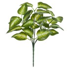 Planta Artificial Folhagem Real Toque Verde Creme 26cm Florarte