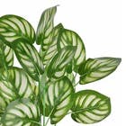 Planta Artificial Folhas 24cm Verde Grillo