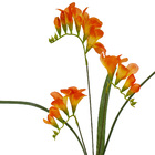 Planta Artificial Frésia Laranja 72cm Daeve