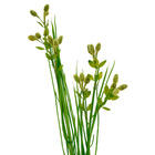 Planta Artificial Galho de Capim com Flor Verde 67cm Daeve
