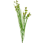Planta Artificial Galho de Capim com Flor Verde 67cm Daeve