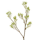 Planta Artificial Galho de Skimmia Verde 65cm Daeve