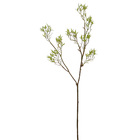 Planta Artificial Galho de Skimmia Verde 65cm Daeve