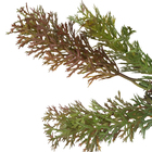 Planta Artificial Grass Verde Outono 27cm Florarte