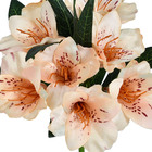 Planta Artificial Haste Ararilis 13cm Champanhe Grillo