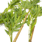 Planta Artificial Haste Bambu Real Toque X365 Verde 120 Cm F0