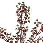 Planta Artificial Haste Berries 65X9cm Grillo