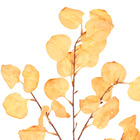 Planta Artificial Haste Eucalipto 90X25cm Grillo