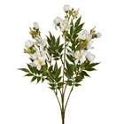 Planta Artificial Haste Flor Do Campo 11cm Creme Grillo