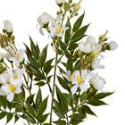Planta Artificial Haste Flor Do Campo 11cm Creme Grillo