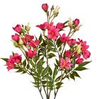 Planta Artificial Haste Flor Do Campo 11cm Lilás Grillo
