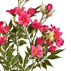 Planta Artificial Haste Flor Do Campo 11cm Lilás Grillo