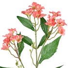 Planta Artificial Haste Flor Do Campo 6cm Coral Grillo