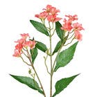 Planta Artificial Haste Flor Do Campo 6cm Coral Grillo